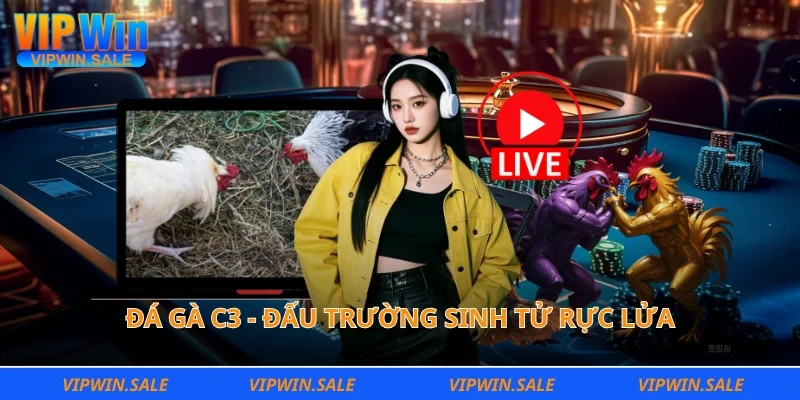 Đá gà C3 - Đấu trường sinh tử rực lửa