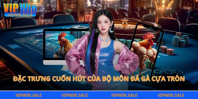 Đặc trưng cuốn hút của bộ môn đá gà cựa tròn
