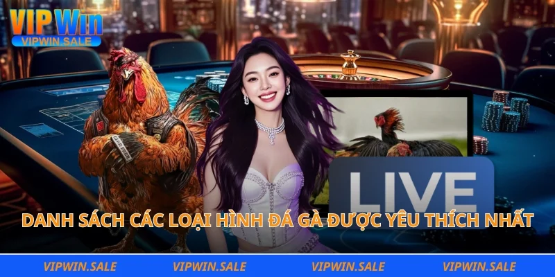 Danh sách các loại hình đá gà được yêu thích nhất tại nền tảng