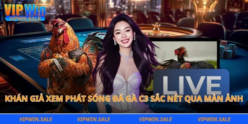 Khán giả xem phát sóng đá gà C3 sắc nét qua màn ảnh