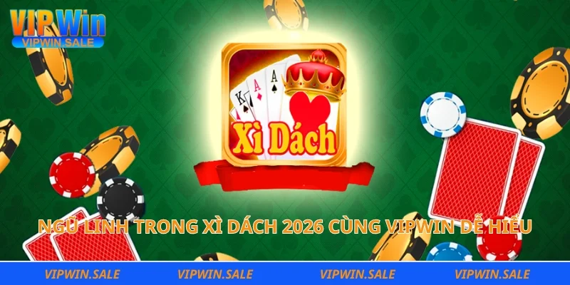 Ngũ linh trong xì dách 2026 cùng vipwin dễ hiểu