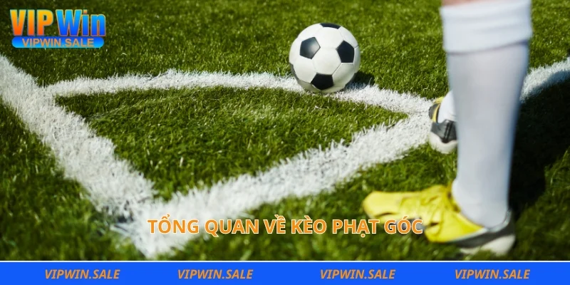 Tổng quan về kèo phạt góc